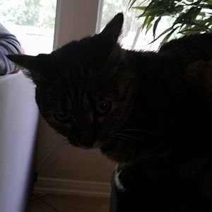 Meet your Posher, Craig